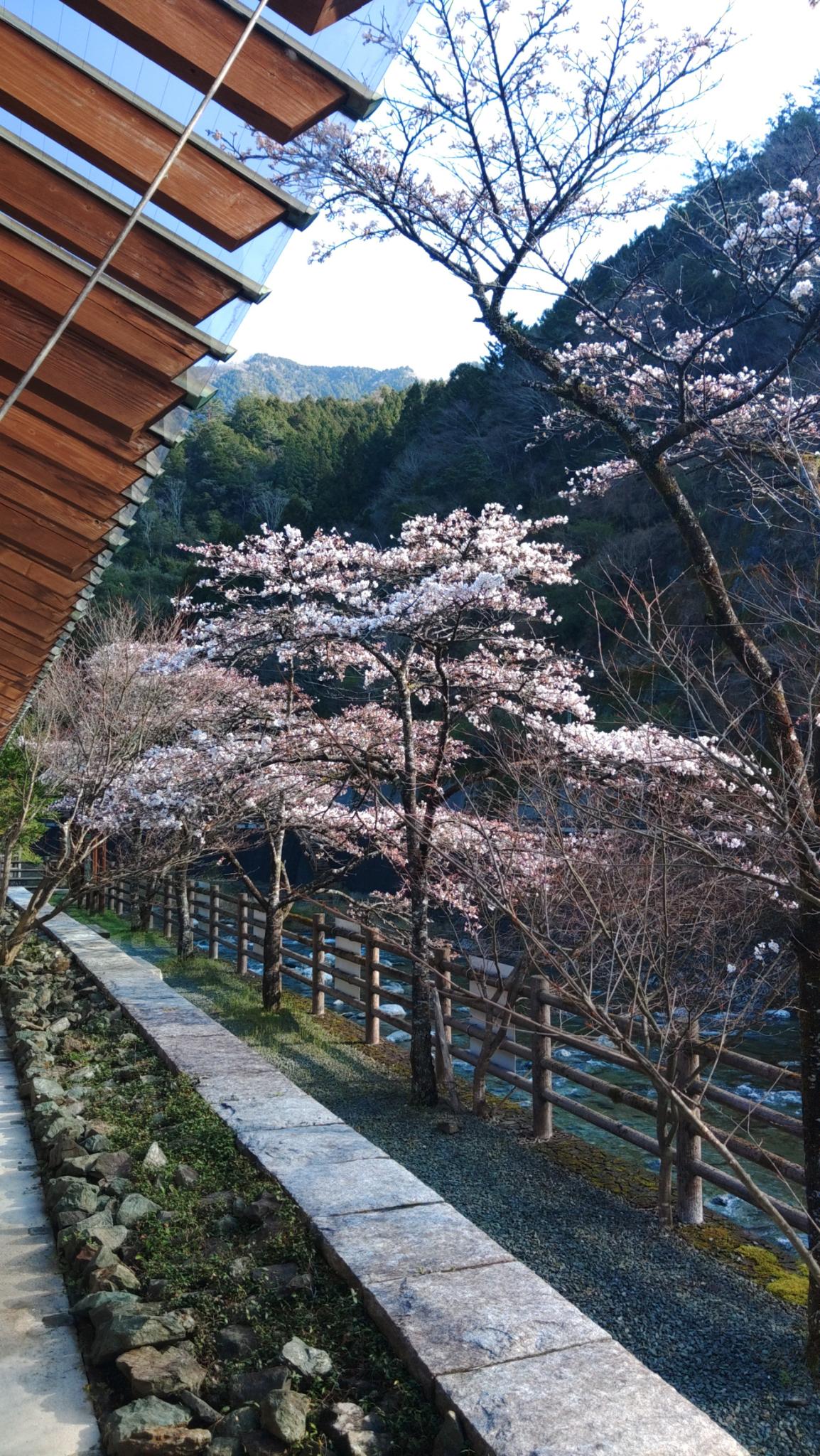 高知県/道の駅木の香温泉からのお知らせ